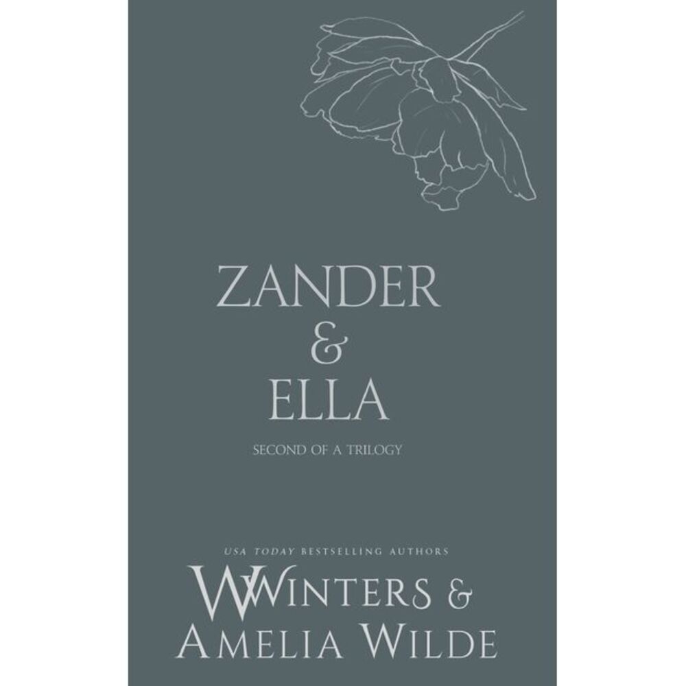 Zander & Ella: Hold Me -- Willow Winters
